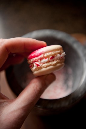 macaron-step-by-step-tutorial-stacy-able-photography-dip-in-crushed-candy-canes macaron-step-by-step-tutorial-stacy-able-photography-dip-in-crushed-candy-canes