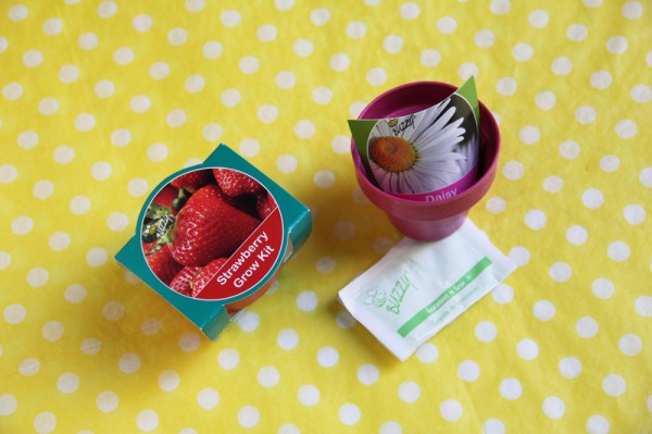 seed-kit-paper-flower-place-cards seed-kit-paper-flower-place-cards