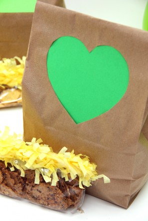 DIY Colorful Lunch Bags DIY Colorful Lunch Bags