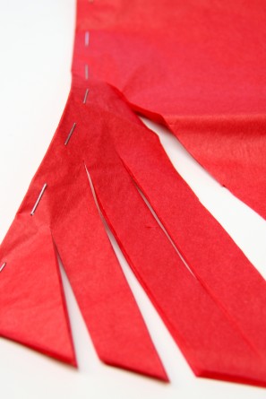 Fringe Backdrop Tutorial Fringe Backdrop Tutorial