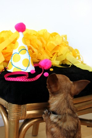 Party Hat DIY Tutorial
