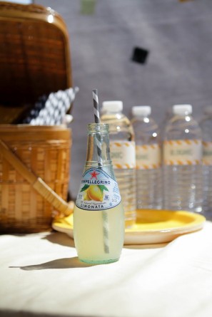 Blognic Drinks
