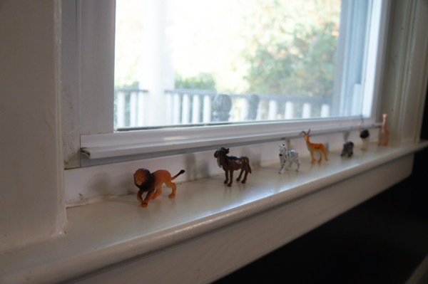 Toy Animal Birthday party Toy Animal Birthday party