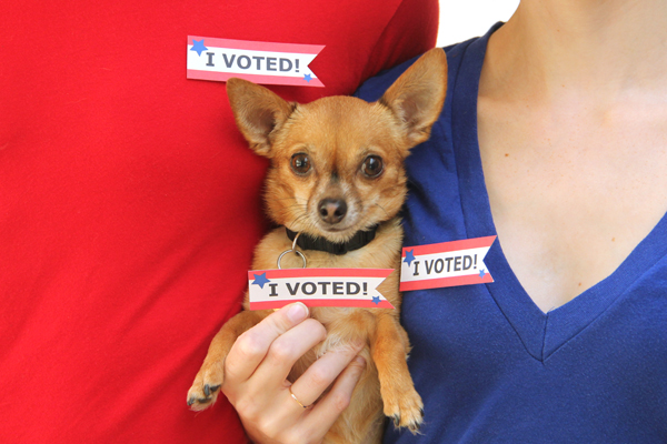 Voting Printables Voting Printables