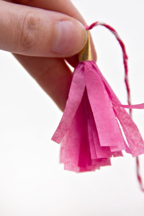 Tassel Garland