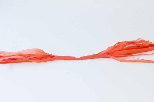 How To Make a Tissue Tassel