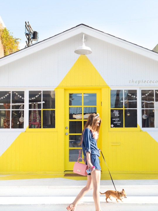 A Walk Down Abbot Kinney