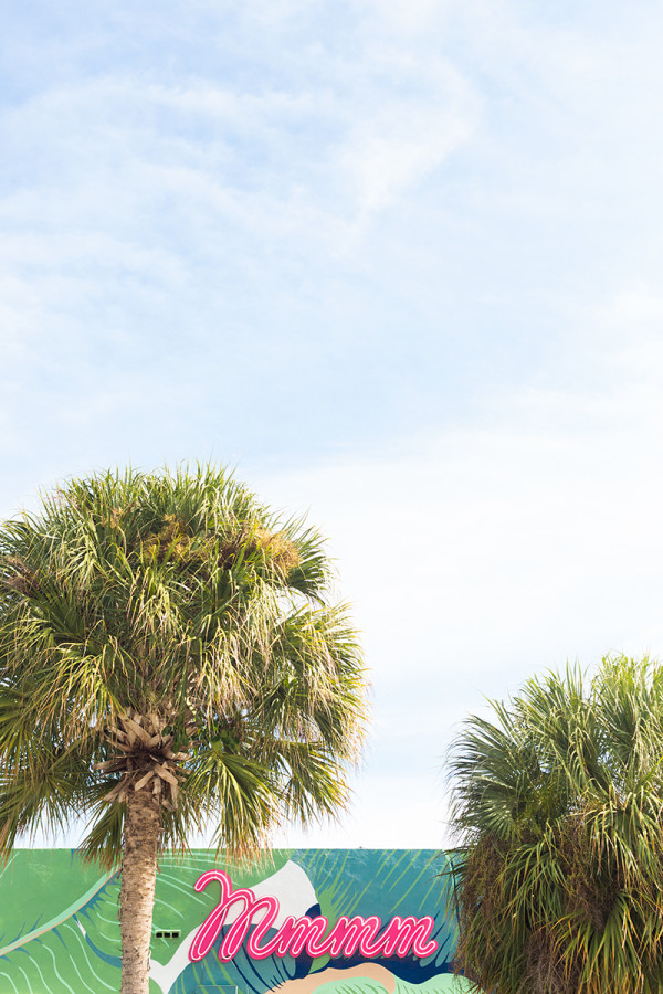 Palm trees