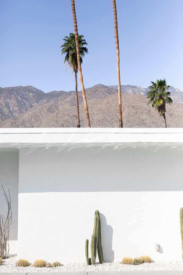 A white building and palm trees behind it