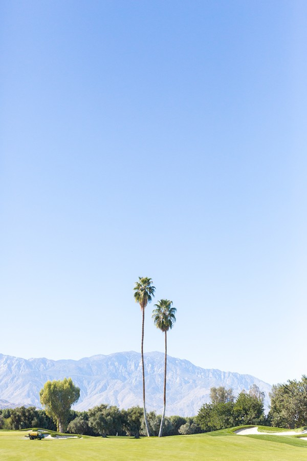Palm trees and mountains