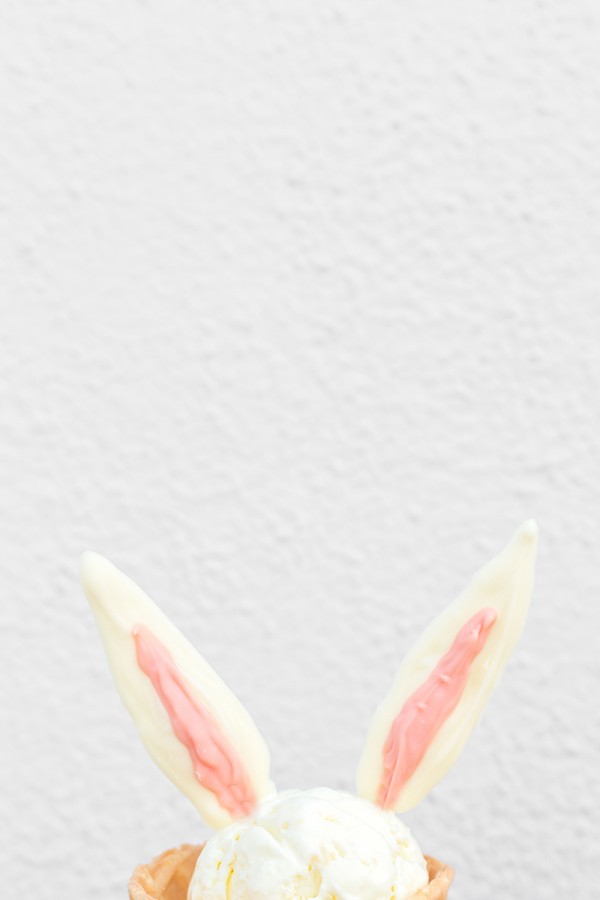 Bunny ears