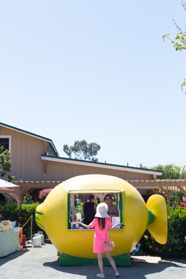 Lemonade stand 