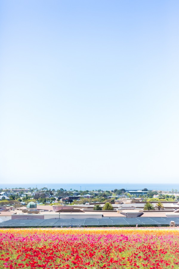 Land and beach