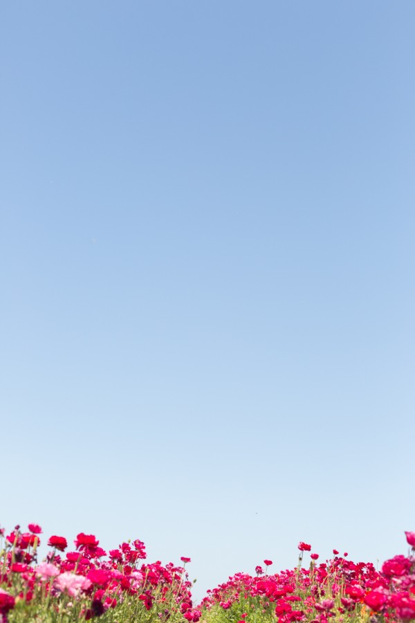 Blue sky