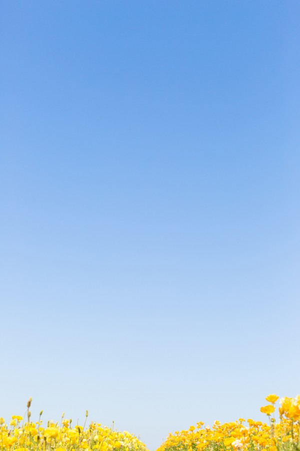 Blue sky