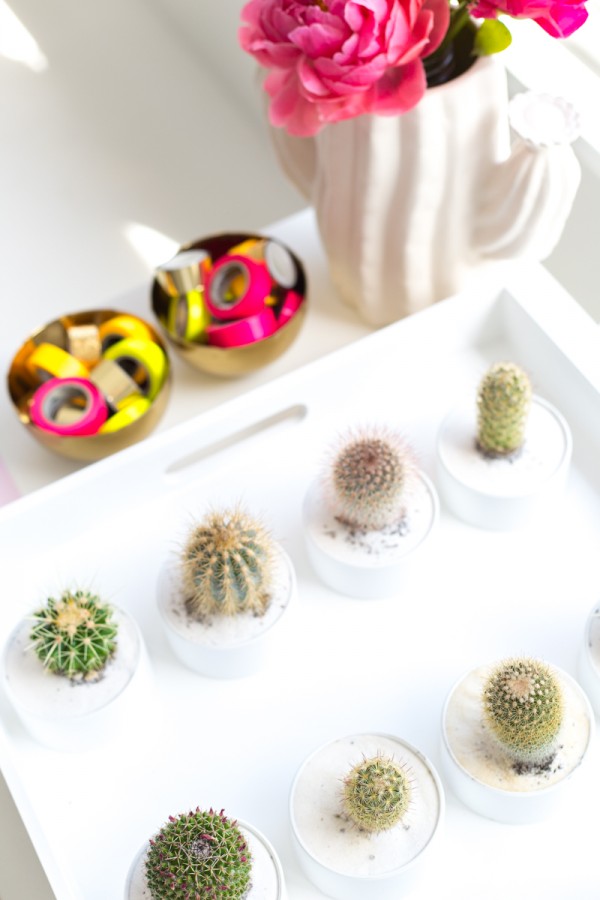 DIY Cactus Favors in PVC Pipe!