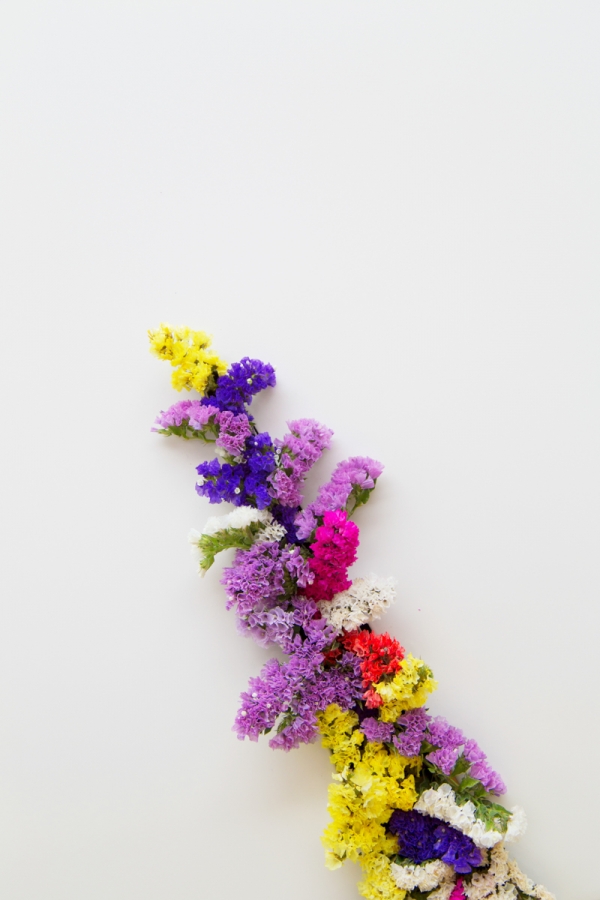 Colorful flowers