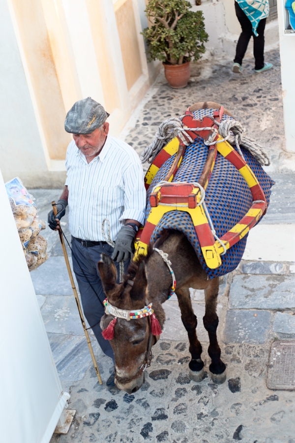 A man and a camel