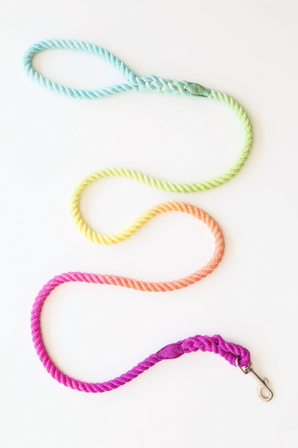 DIY Technicolor Dog Leash | studiodiy.mom