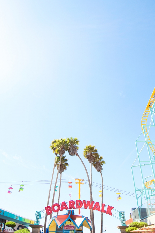 Palm trees and roller coasters