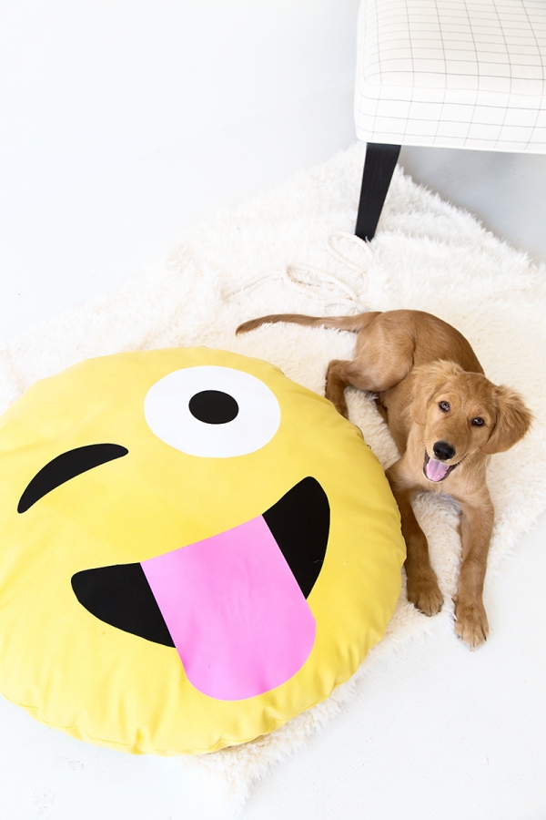 A dog on an emoji pillow