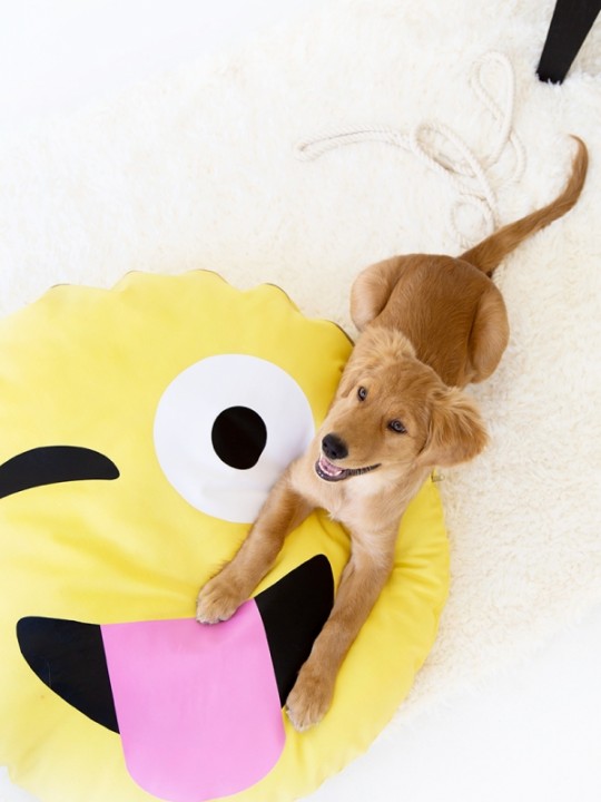DIY Emoji Dog Bed