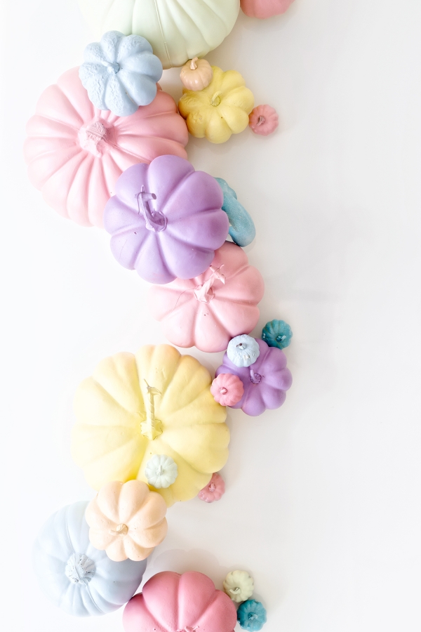 Colorful pumpkins