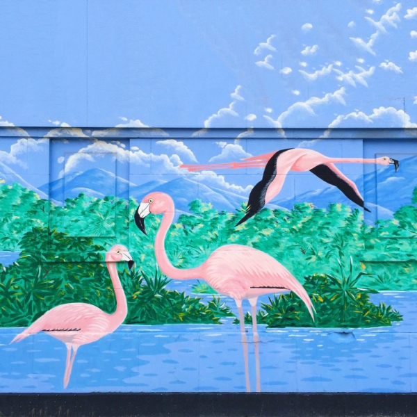 A wall with flamingos on it