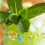 Leprechaun Rum Punch