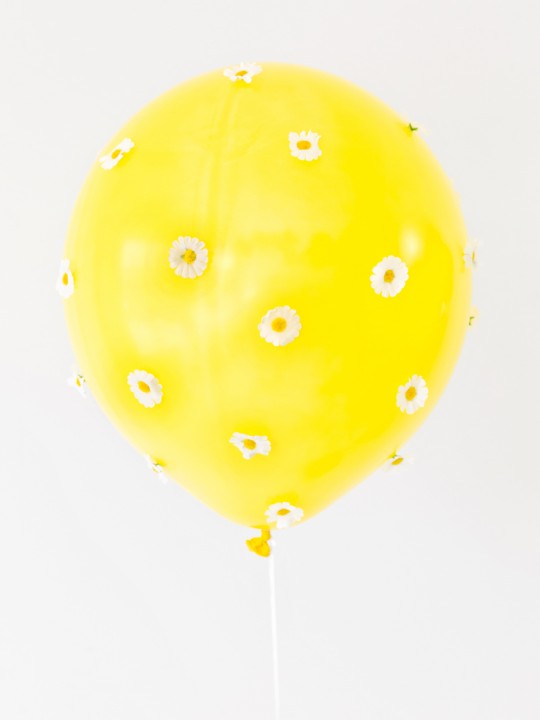 A Mod Daisy Birthday Party