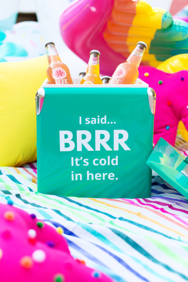I SAID! Brr... It's Cold In Here Cooler | studiodiy.mom
