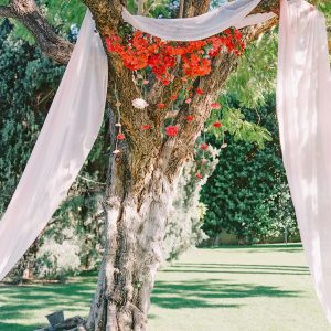 Wedding Ceremony Canopy
