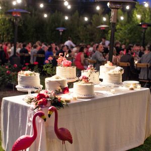 Colorful Palm Springs Wedding