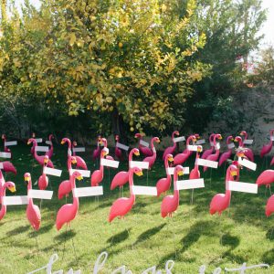 Lawn Flamingo Wedding Escort Cards