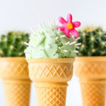 Cactus ice cream