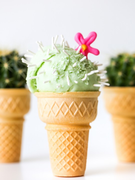 Cactus Ice Cream Cones