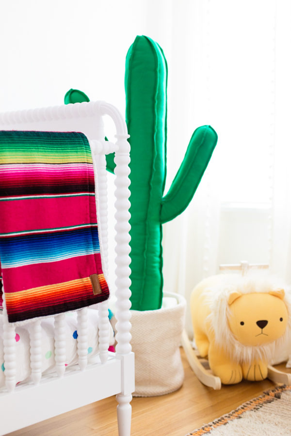 Nursery and Cactus