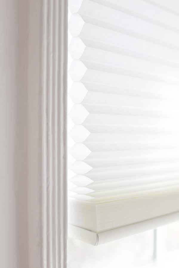 A close up of a shade