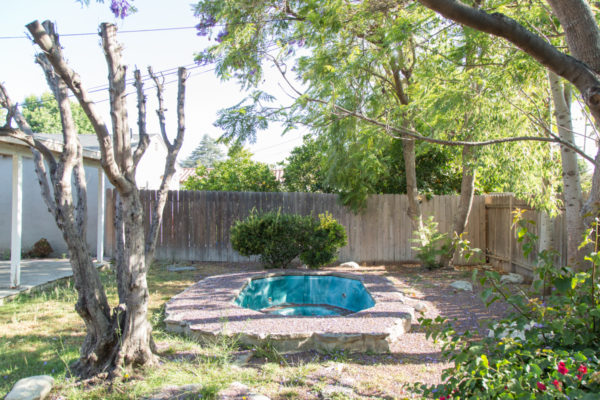The Mindwelling Backyard - "Before"