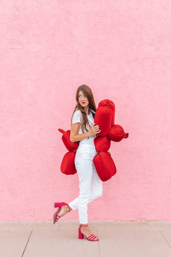 A balloon dog costume