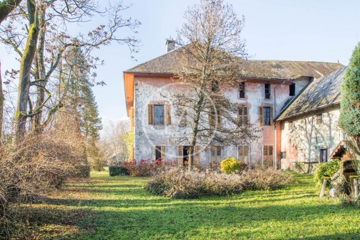 A large lawn in front of a house