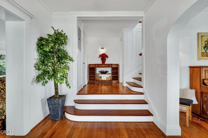 A staircase with a plant