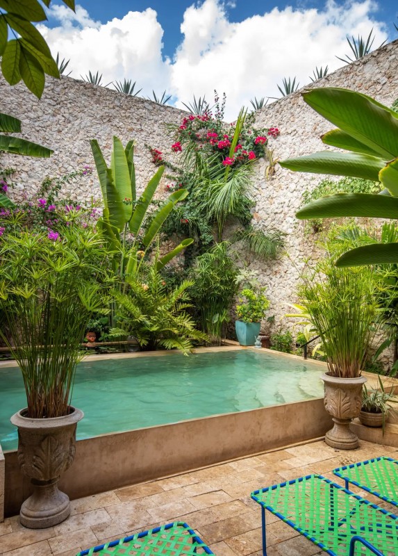 A pool next to a lot of plants