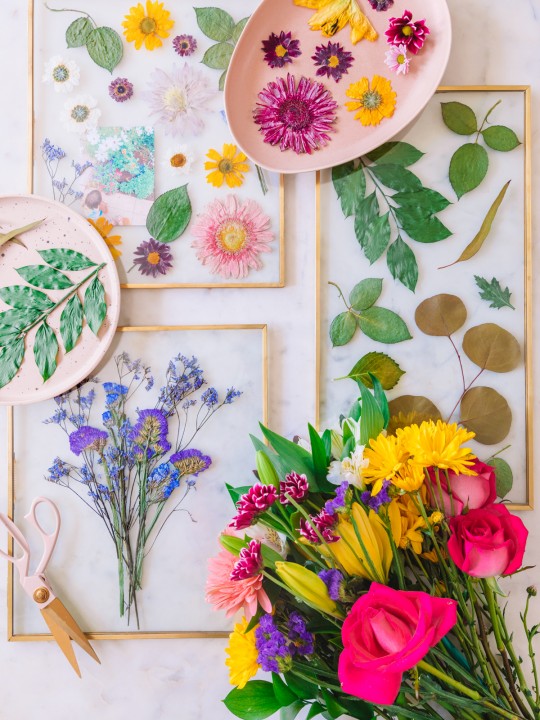 Pressed Flower Art