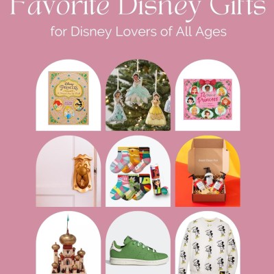 The Coolest Gifts for Disney Lovers Gifts for Disney Lovers