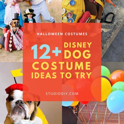 collage of disney dog costumes